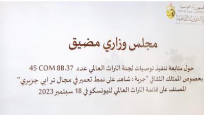الممتلك الثقافي بجربة المصنف على قائمة التراث العالمي  محور مجلس وزاري مضيق 